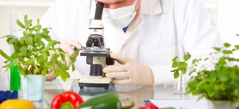 Ciencia de Alimentos EaD