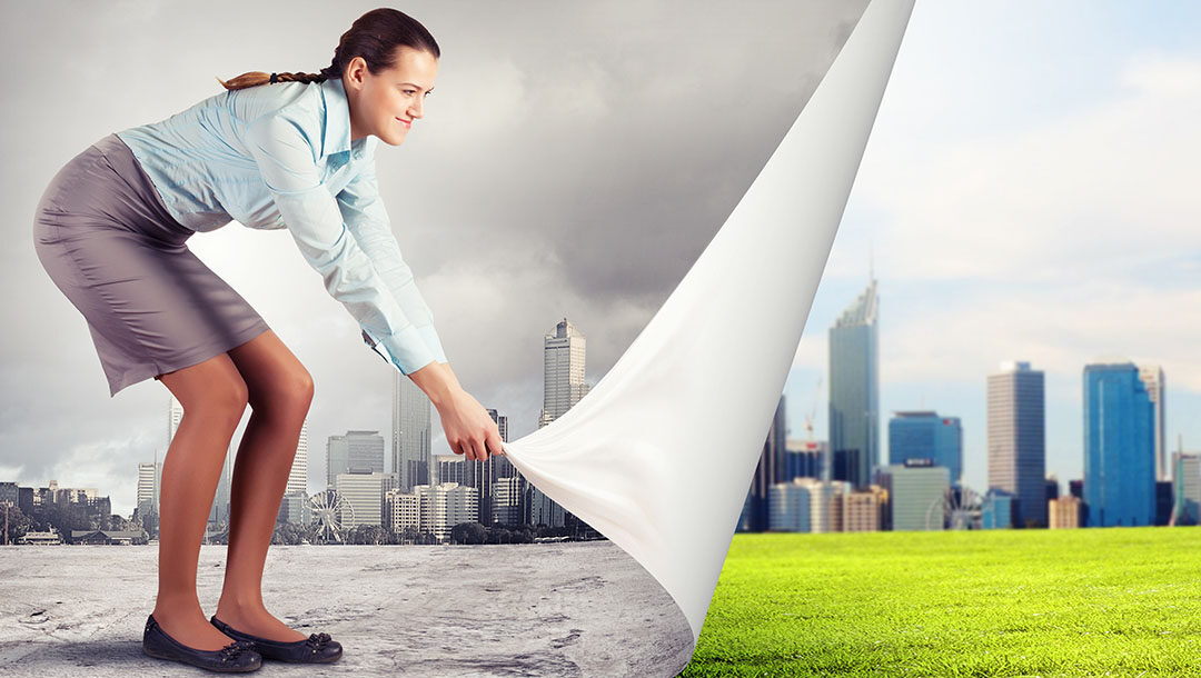 transicao de carreira