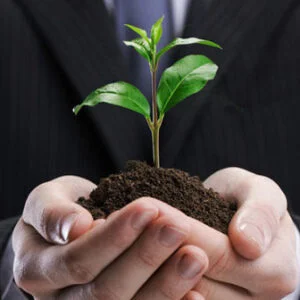 Pós-graduação em Direito Ambiental