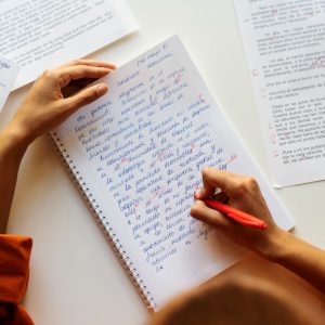 Capacitação em Interpretação de Texto